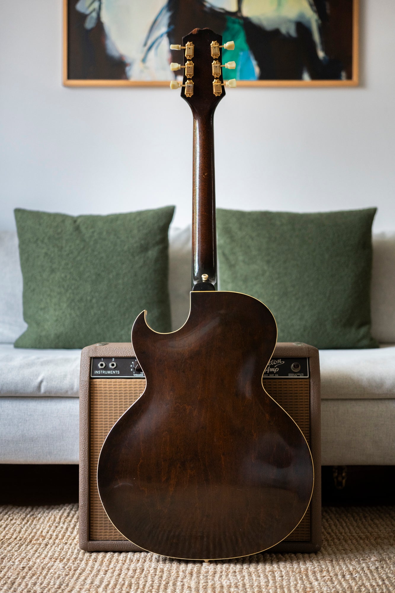 1960 Epiphone Windsor E352T