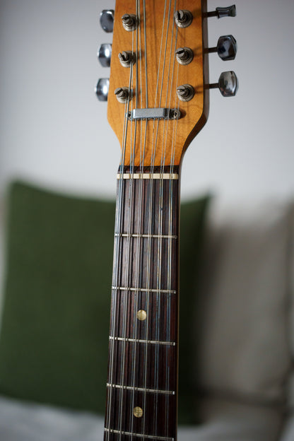 1966 Fender Electric XII